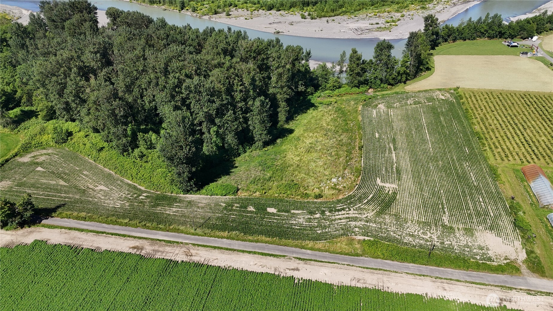 0 Massey Road Everson, WA 98247 - Photo 1 of 8 Gallery Image 1