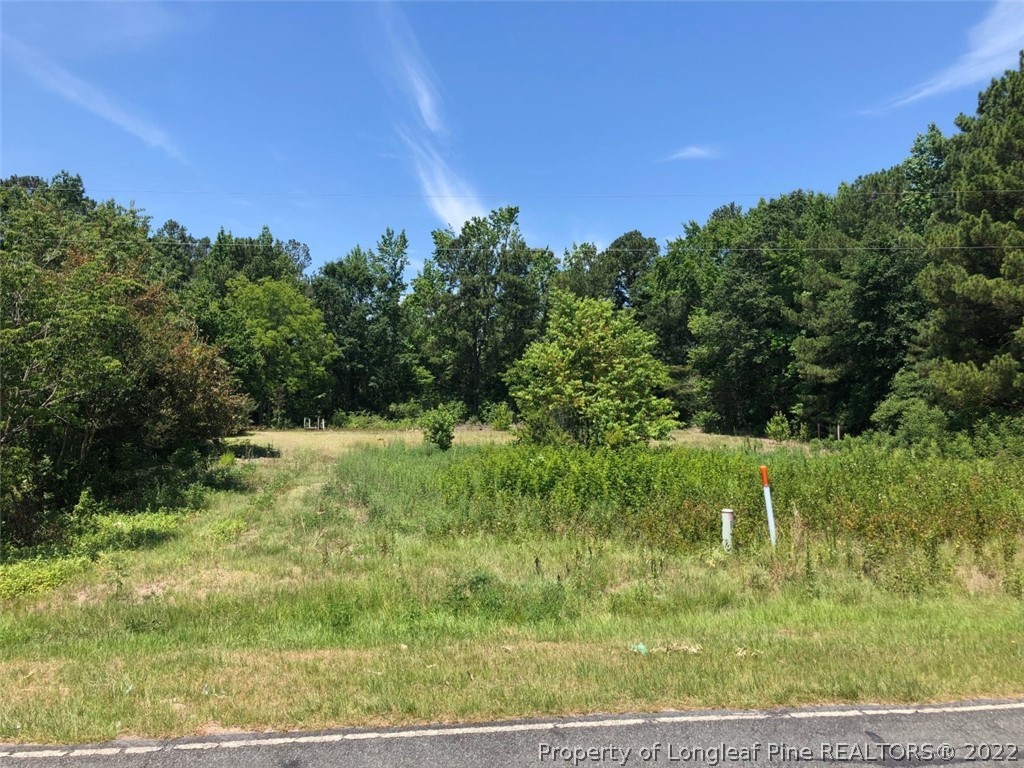 177 Shaw Road St. Pauls, NC 28384 - Photo 3 of 16 Gallery Image 3