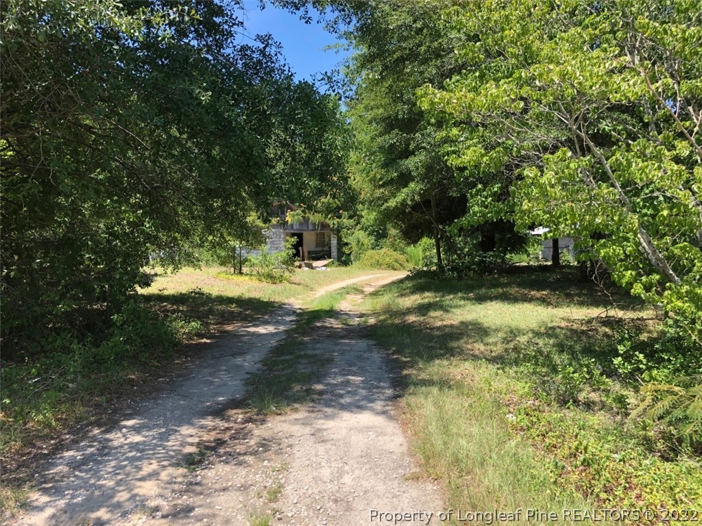 177 Shaw Road St. Pauls, NC 28384 - Photo 5 of 16 Gallery Image 5