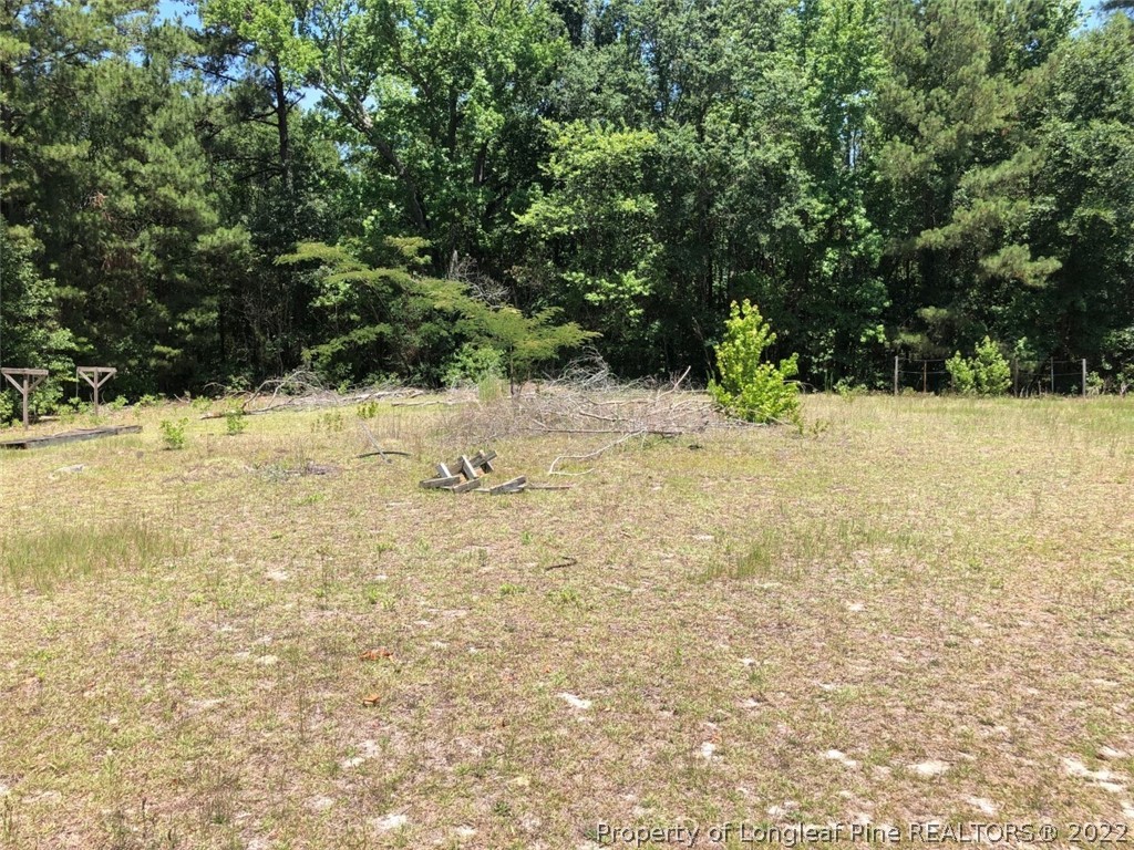 177 Shaw Road St. Pauls, NC 28384 - Photo 8 of 16 Gallery Image 8
