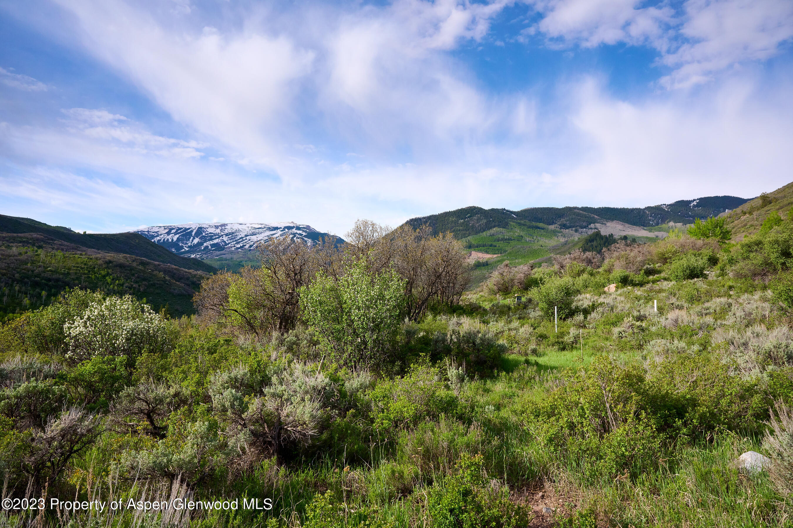 51 Shield O Road Snowmass, CO 81654 - Photo 11 of 24 51 Shield O Road 2700 Size 06