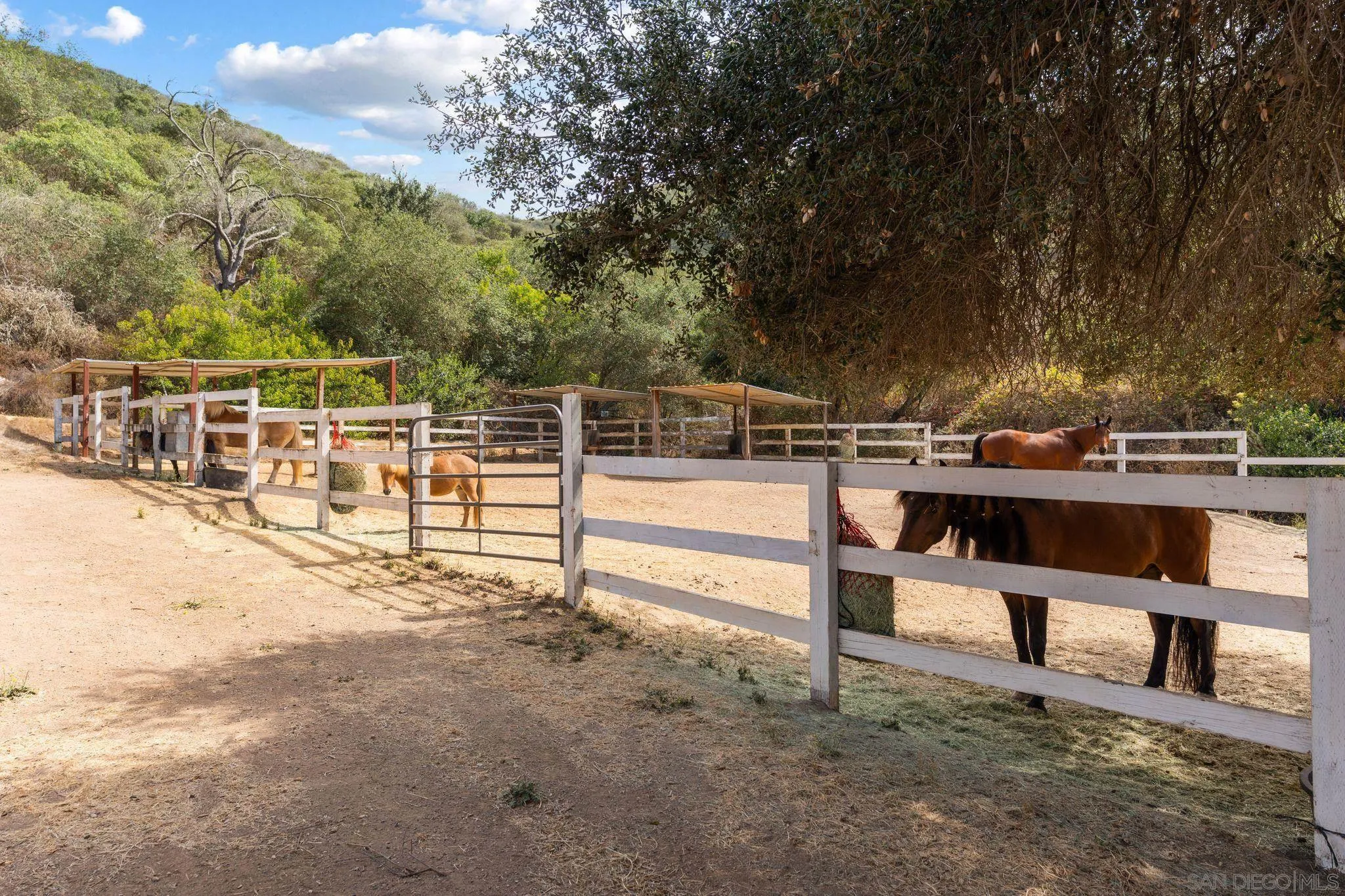 8952 Detwiler Road Escondido, CA 92029 - Photo 3 of 20