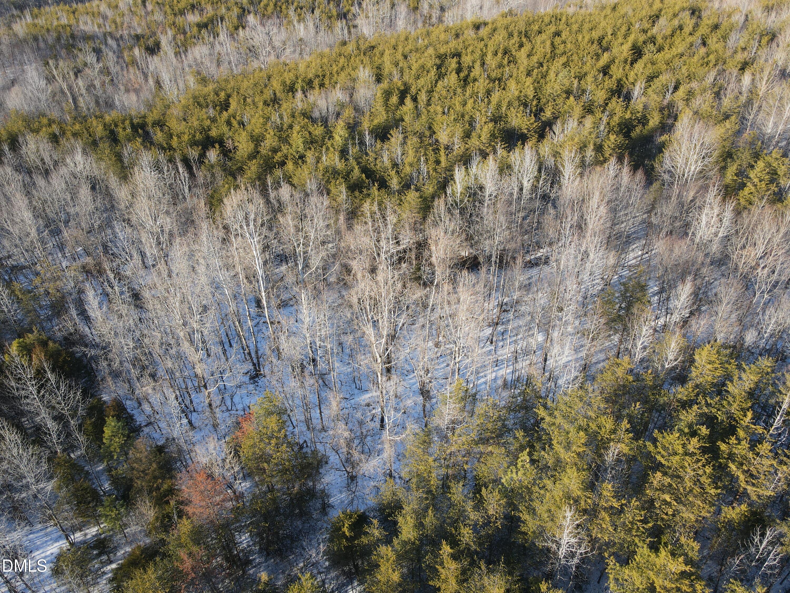 380 Redd Lane Java, VA 24565 - Photo 12 of 20 a view of a yard