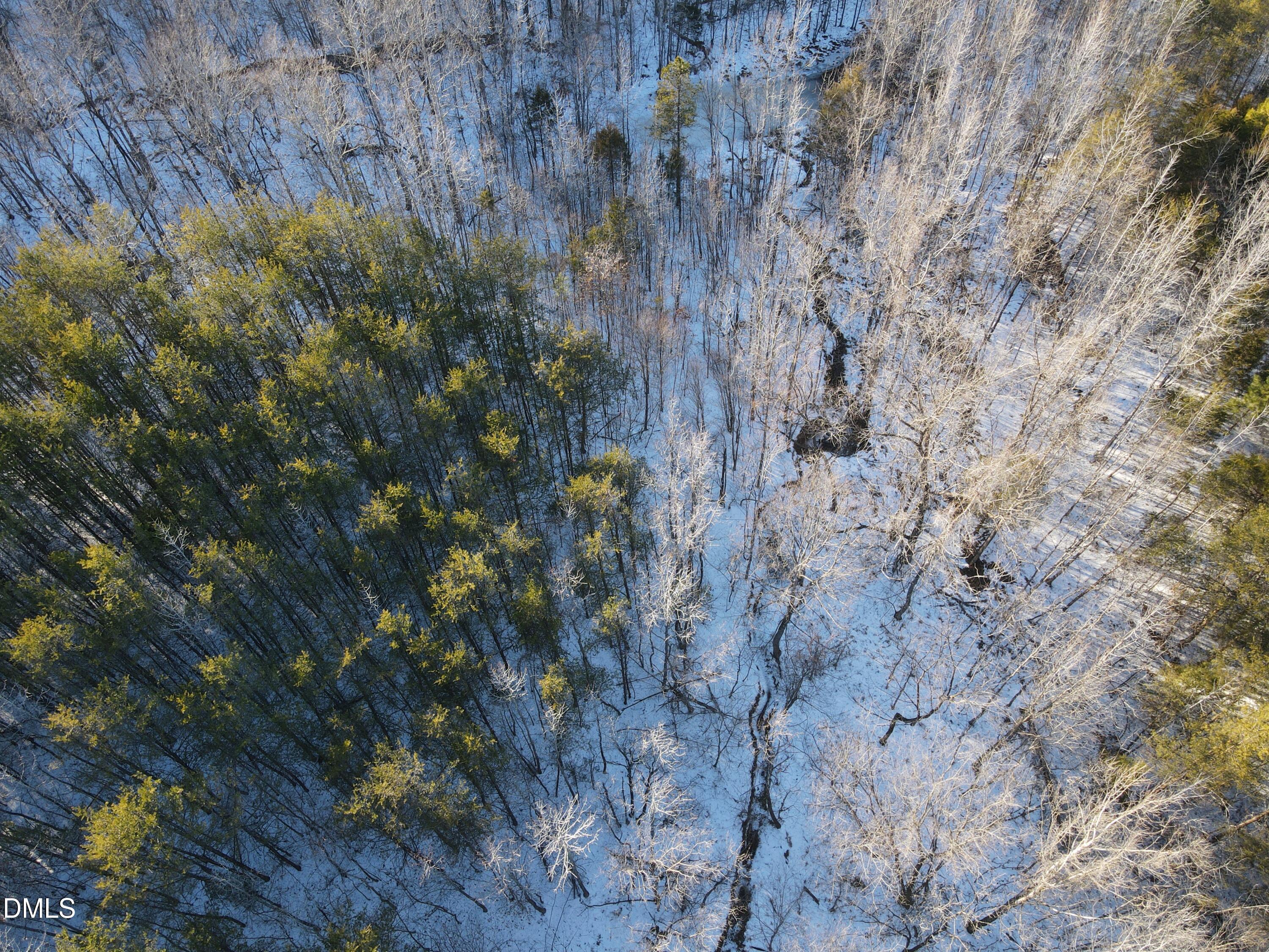 380 Redd Lane Java, VA 24565 - Photo 13 of 20 a view of a forest with a tree