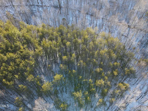 a view of a plants in a backyard