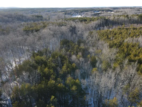 a view of a lush green forest with lush green forest