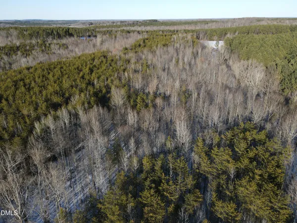 a view of a lush green forest with a lake and mountain view