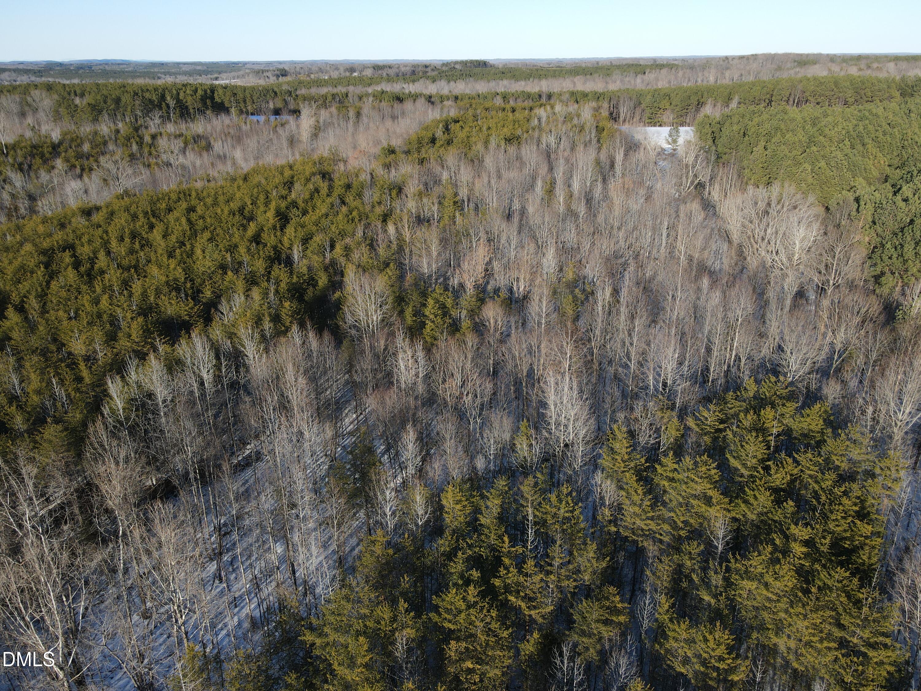 380 Redd Lane Java, VA 24565 - Photo 17 of 20 a view of a lush green forest with a lake and mountain view