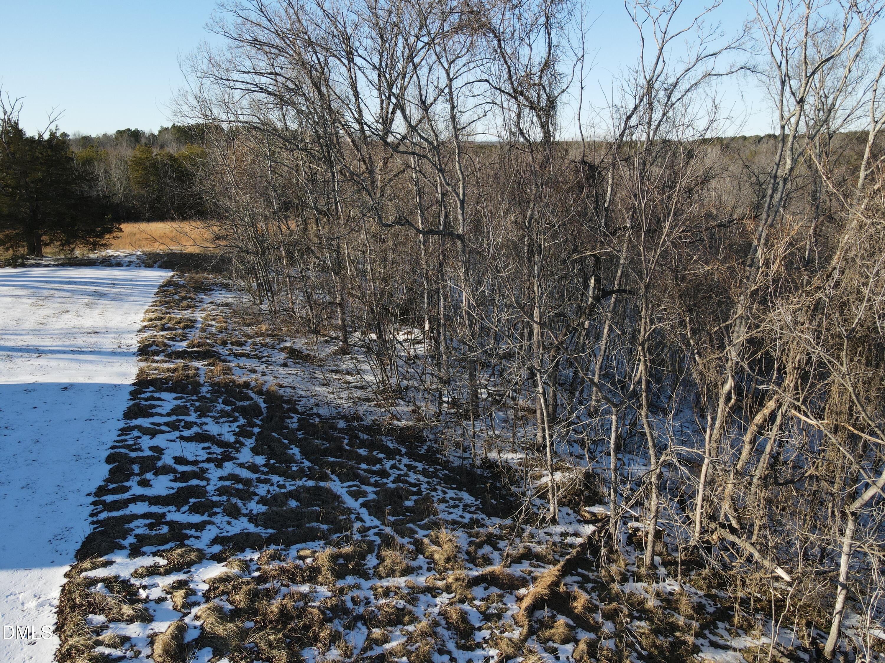 380 Redd Lane Java, VA 24565 - Photo 9 of 20 a view of a yard