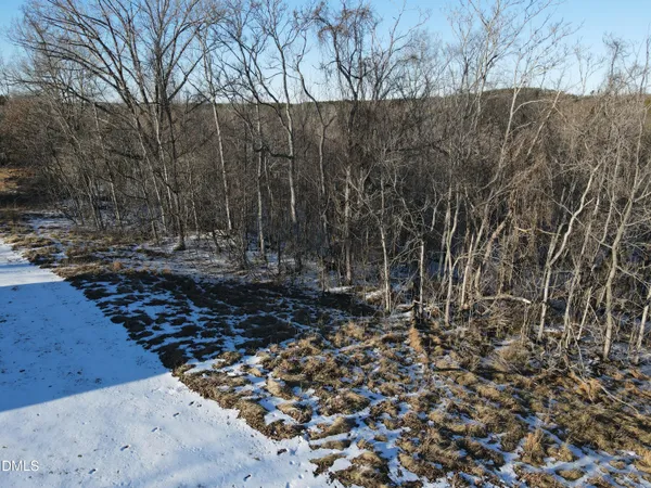 a view of a yard with trees