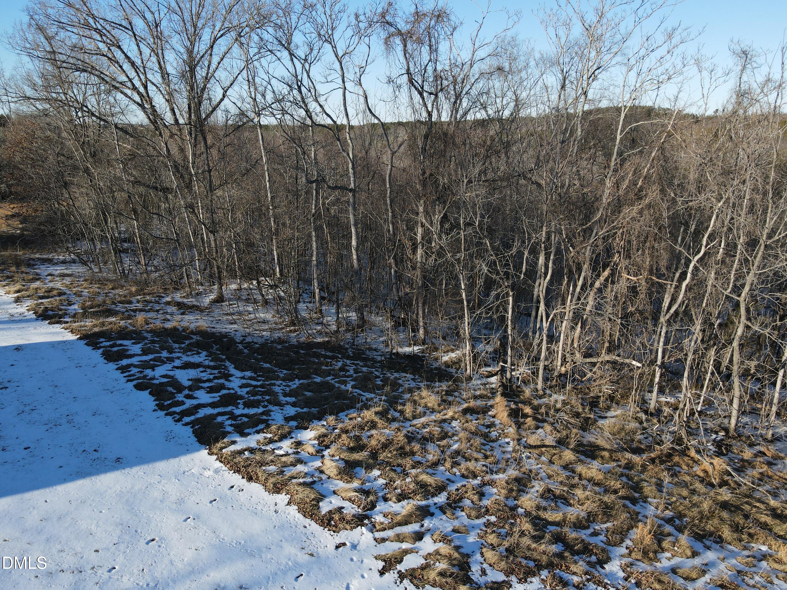 380 Redd Lane Java, VA 24565 - Photo 10 of 20 a view of a yard with trees