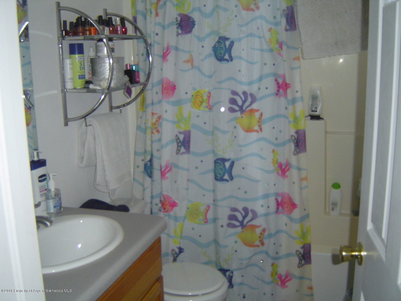 1539 Beech Street Rifle, CO 81650 - Photo 8 of 11 Bathroom