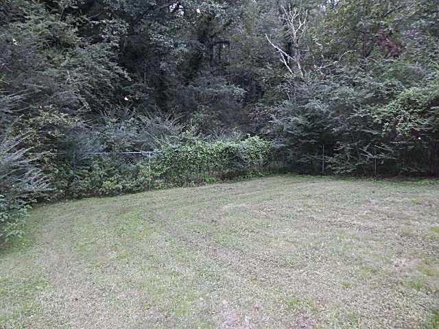 140 Adcock Hollow Road Coalfield, TN 37748 - Photo 5 of 11 Rear Yard