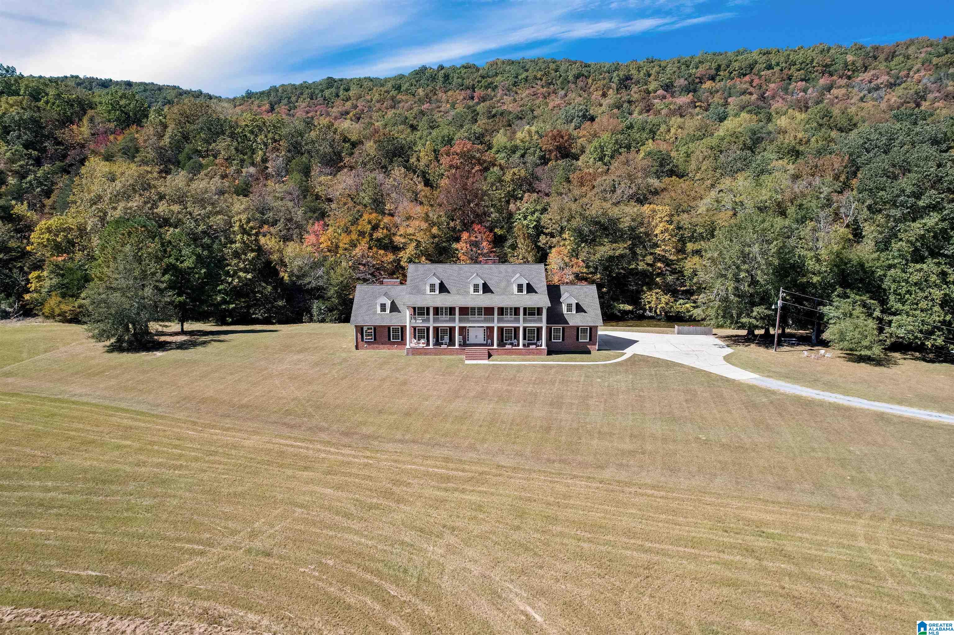 934 Fred Walker Road Oneonta, AL 35121 - Photo 5 of 78