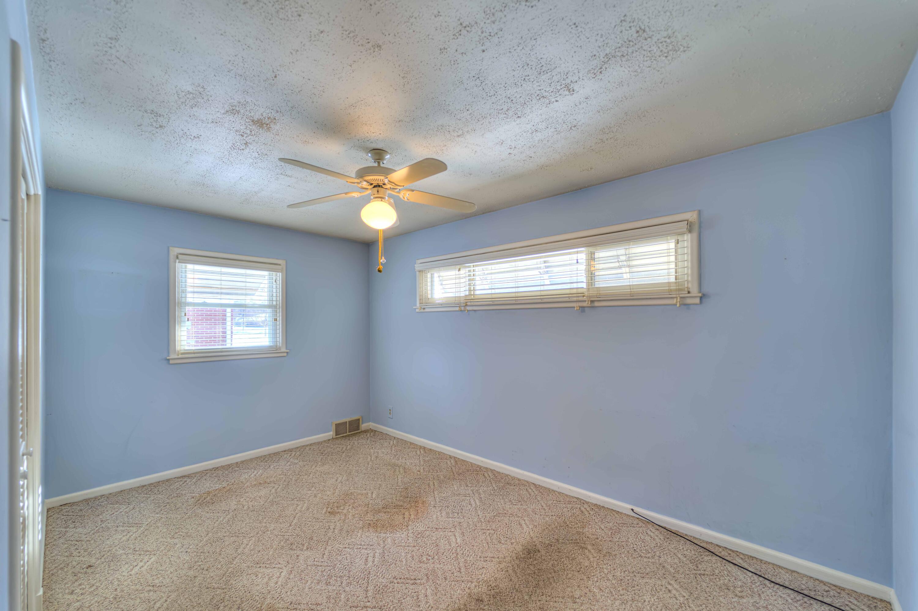 1031 South Durand Street Jackson, MI 49203 - Photo 13 of 22 1031 S Durand 20