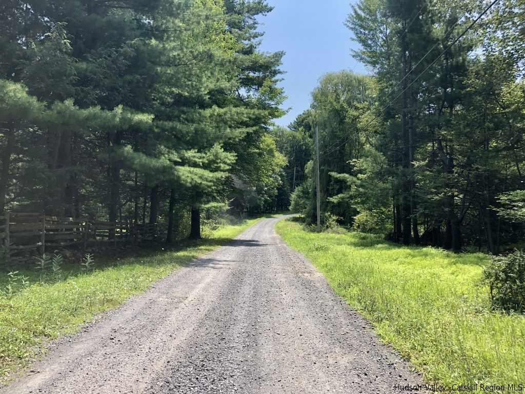 Tbd Chestnut Hl Road High Falls, NY 12440 - Photo 2 of 6 Photo 2