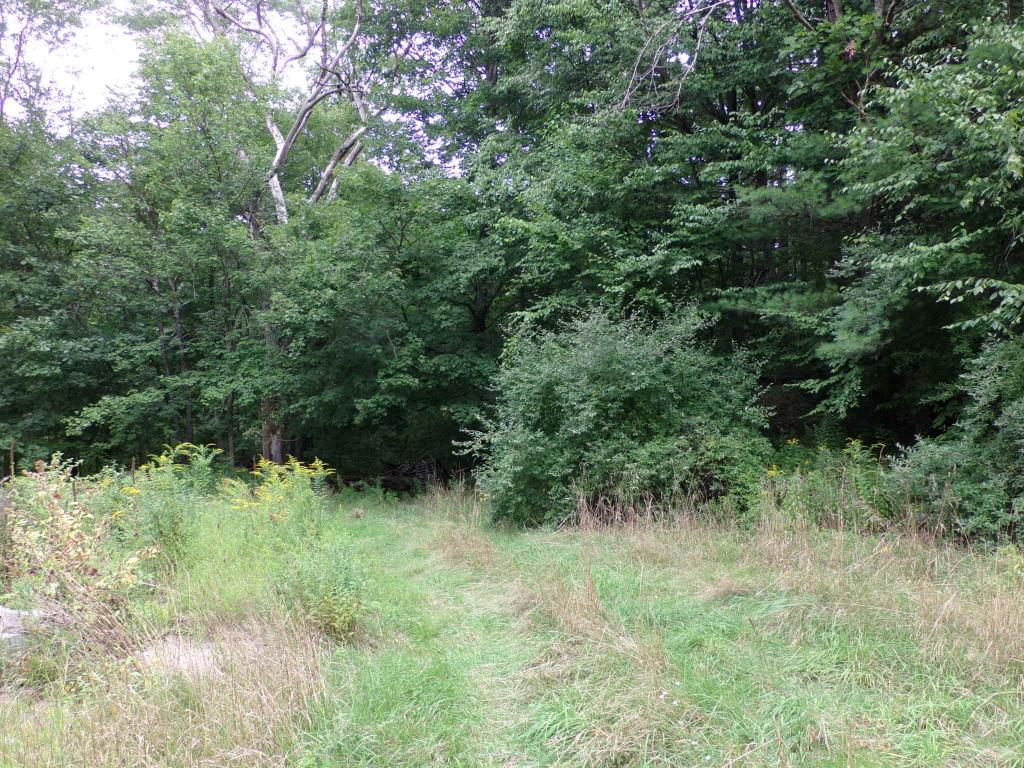 32 Crystal Lake Road Gilmanton, NH 03837 - Photo 6 of 26