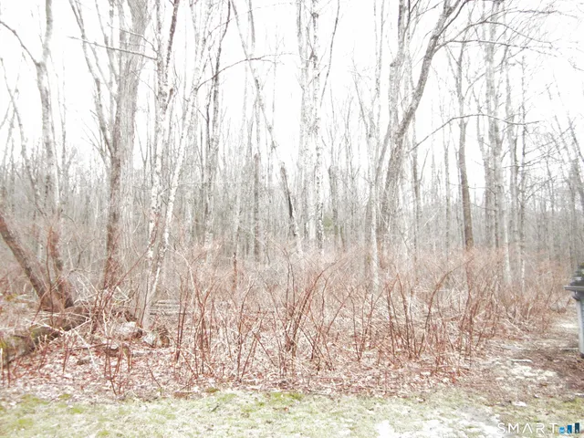 a view of backyard with wooden floor