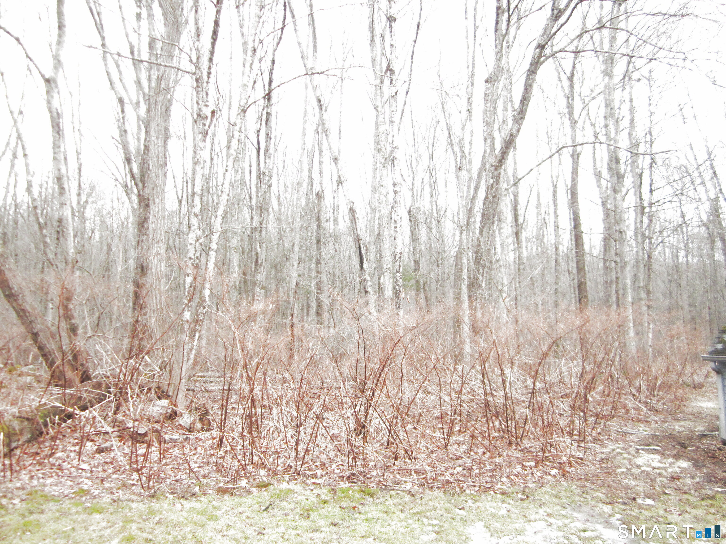 340 Hanks Hill Road Storrs Mansfield, CT 06268 - Photo 9 of 22