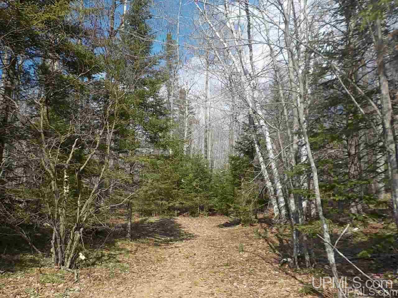 40-ac Lind Road Crystal Falls, MI 49920 - Photo 5 of 24