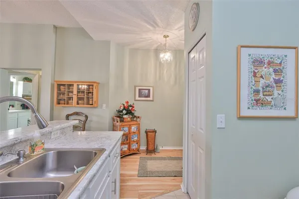 a view of a park with large trees