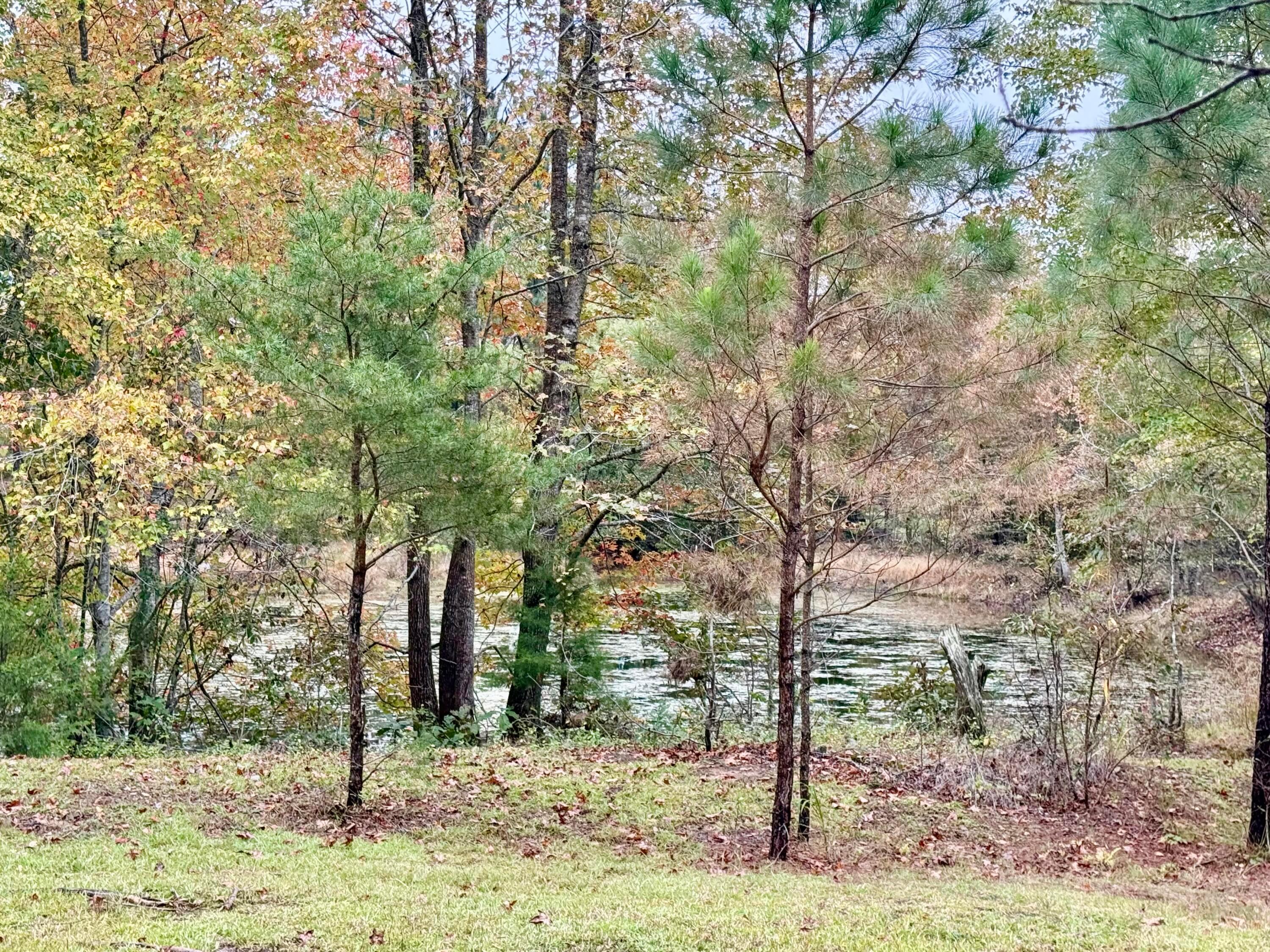 62 Co Road Haleyville, AL 35565 - Photo 6 of 32 IMG_7802