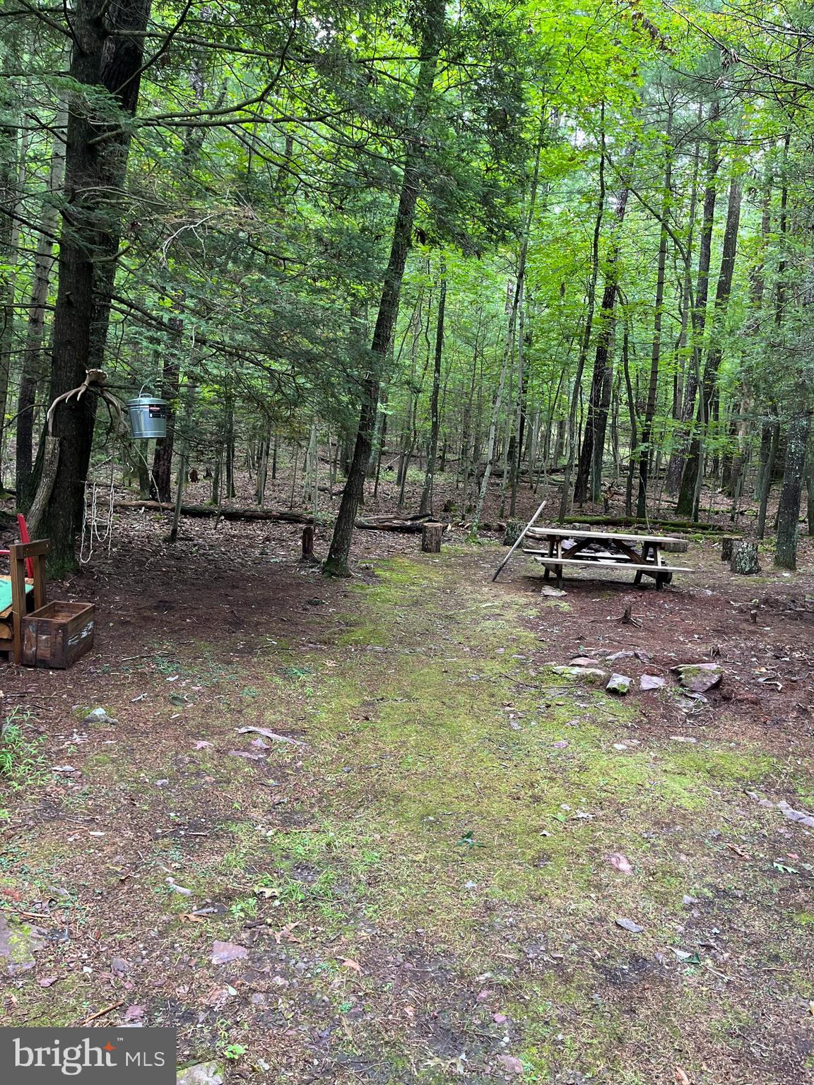 561 Corls Road, Unit 561 Fayetteville, PA 17222 - Photo 10 of 12 Picnic area