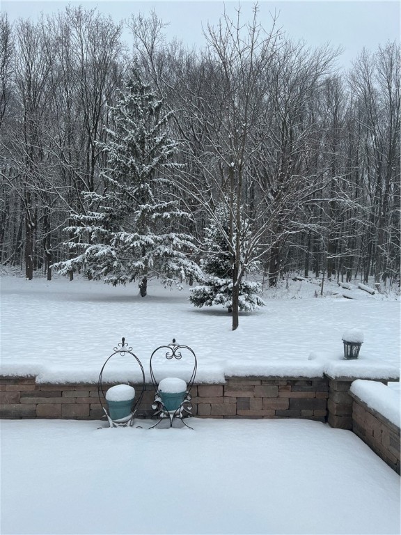 918 Copper Kettle Road Webster, NY 14580 - Photo 30 of 30 Beautiful winter view from the patio.