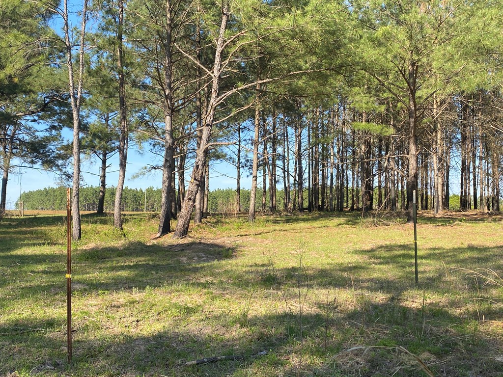 0 Co Road Abbeville, AL 36310 - Photo 37 of 53