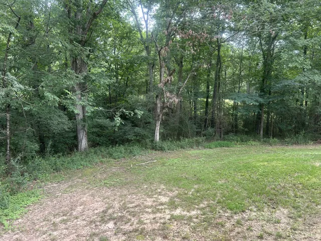 a view of outdoor space with green field and trees