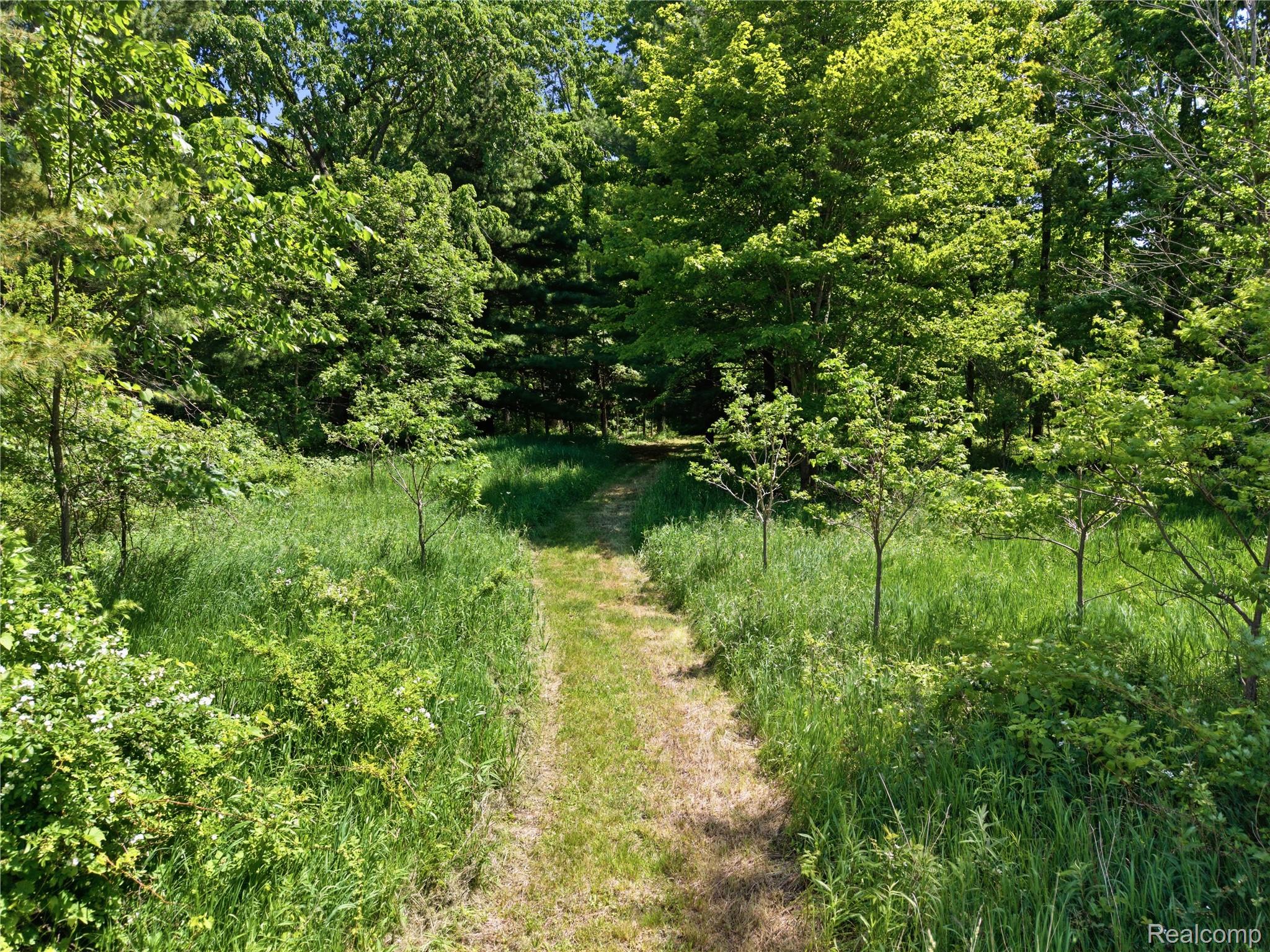 14830 Sheridan Road Byron, MI 48418 - Photo 70 of 74 Grassed pathway surrounded by dense green foliage and mature trees