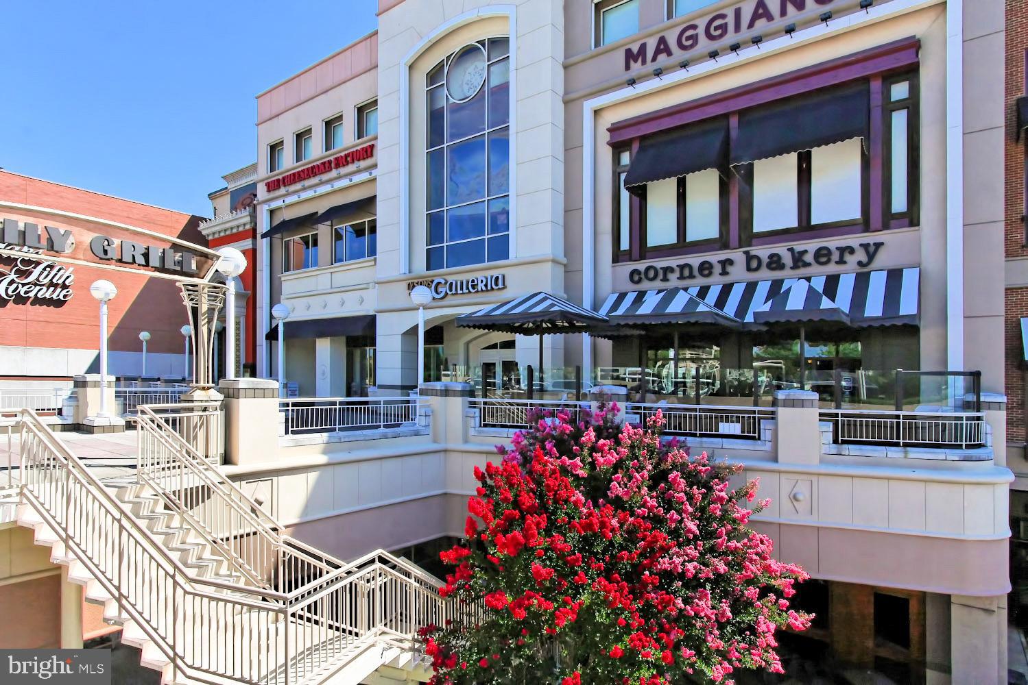 1645 Kirby Road McLean, VA 22101 - Photo 92 of 102