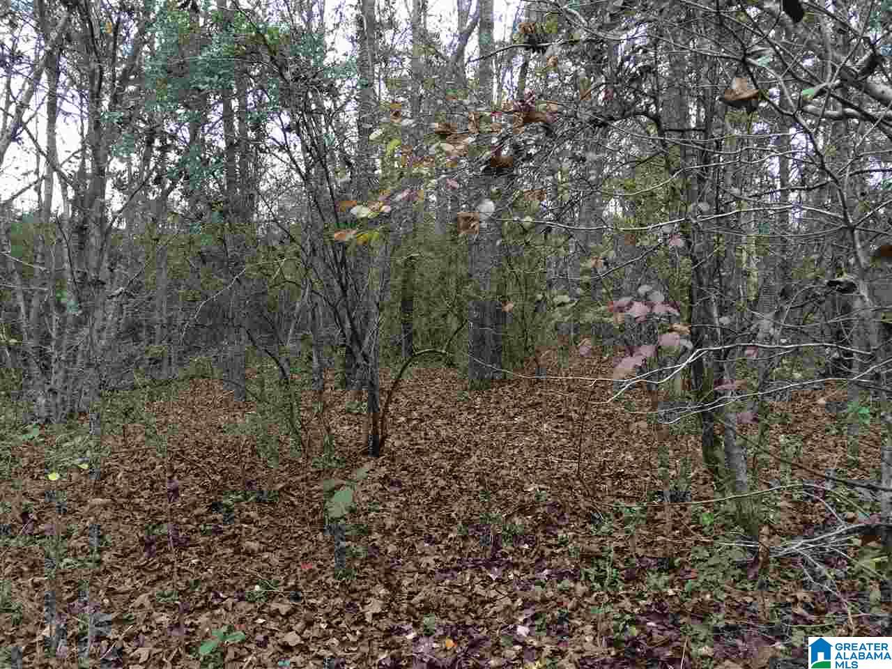 Posey Lane, Unit 11 Union Grove, AL 35175 - Photo 6 of 12