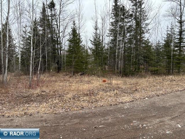 7539 McKay Road Cotton, MN 55724 - Photo 23 of 23
