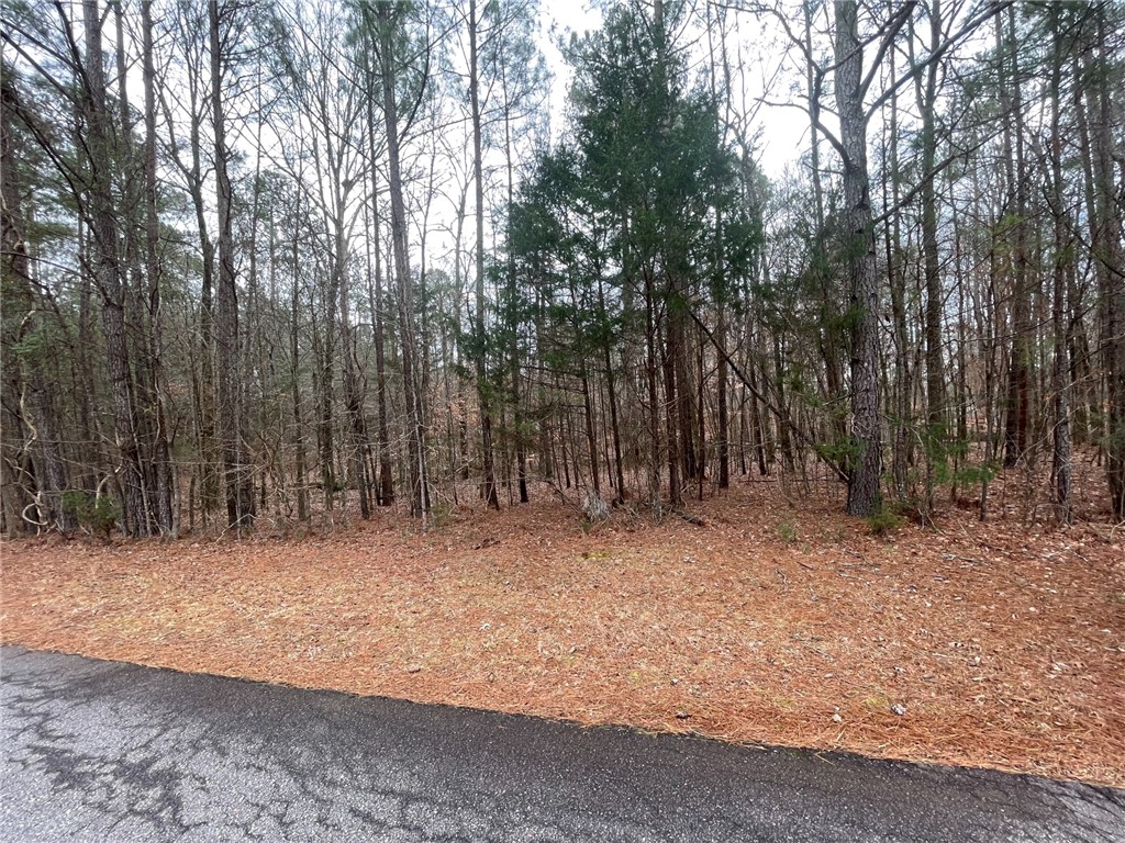 0 Ridgewood Harbor Road Waterloo, SC 29384 - Photo 1 of 22
