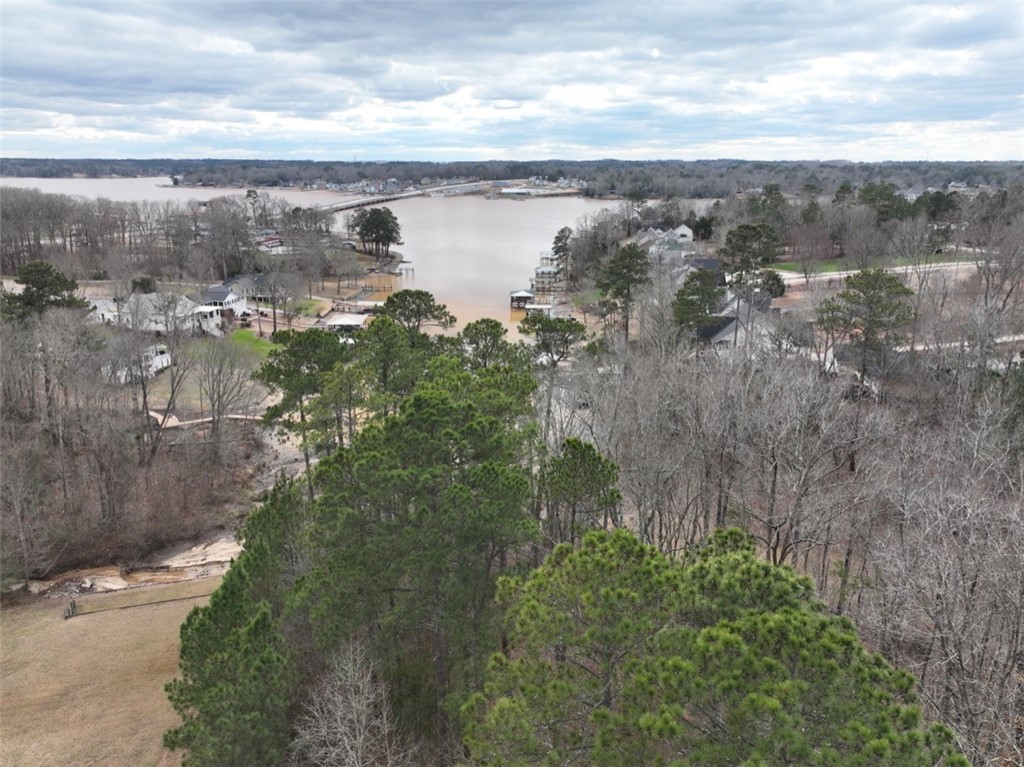 0 Ridgewood Harbor Road Waterloo, SC 29384 - Photo 15 of 22