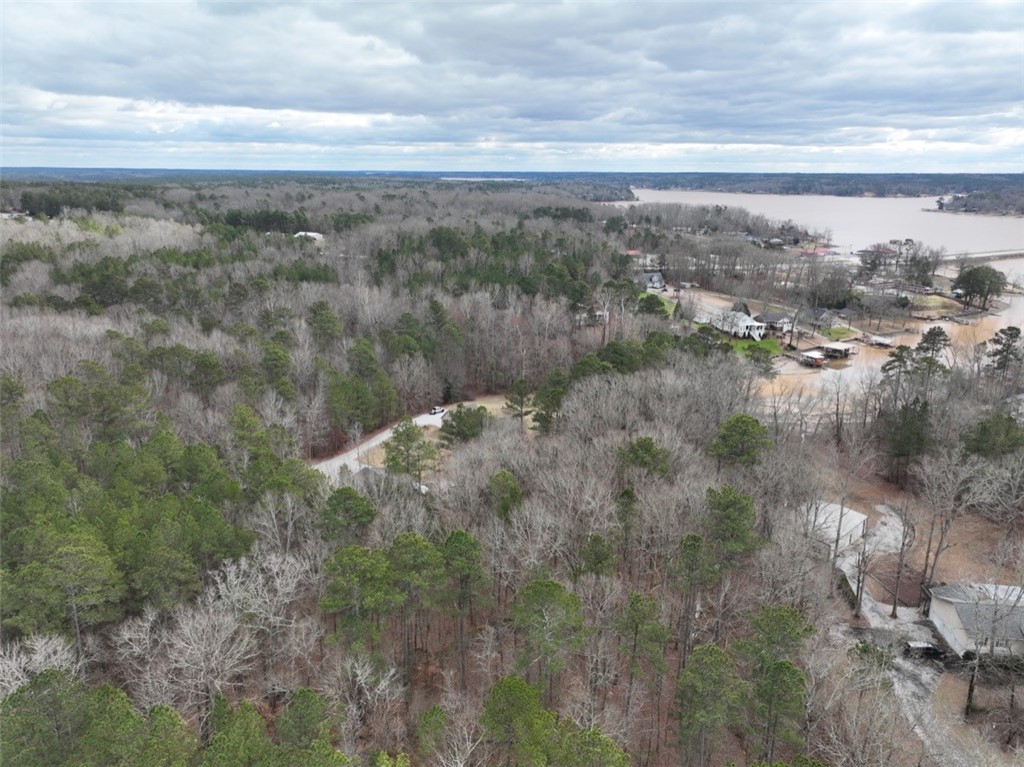 0 Ridgewood Harbor Road Waterloo, SC 29384 - Photo 17 of 22