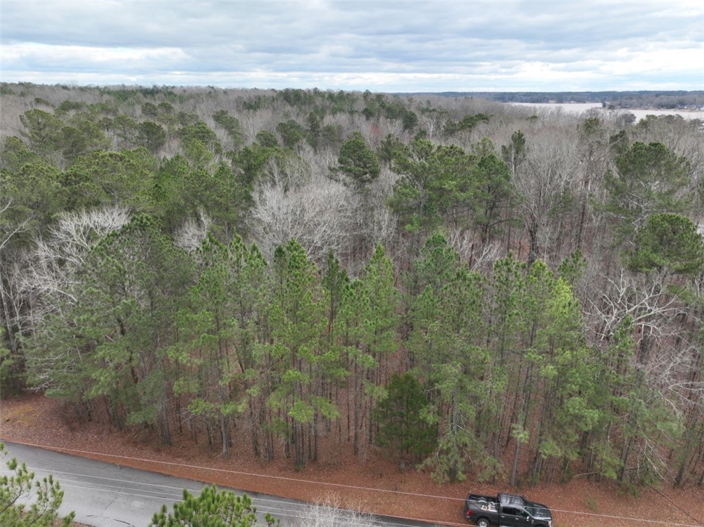 0 Ridgewood Harbor Road Waterloo, SC 29384 - Photo 2 of 22