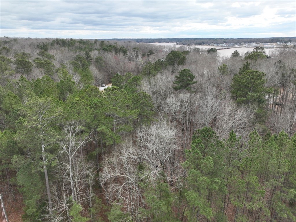 0 Ridgewood Harbor Road Waterloo, SC 29384 - Photo 4 of 22