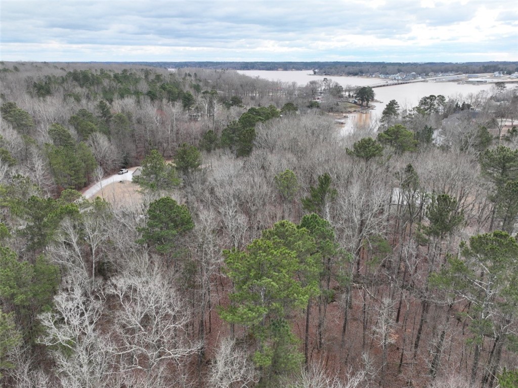 0 Ridgewood Harbor Road Waterloo, SC 29384 - Photo 5 of 22