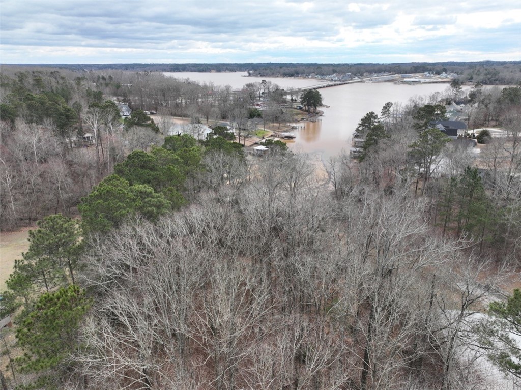0 Ridgewood Harbor Road Waterloo, SC 29384 - Photo 6 of 22