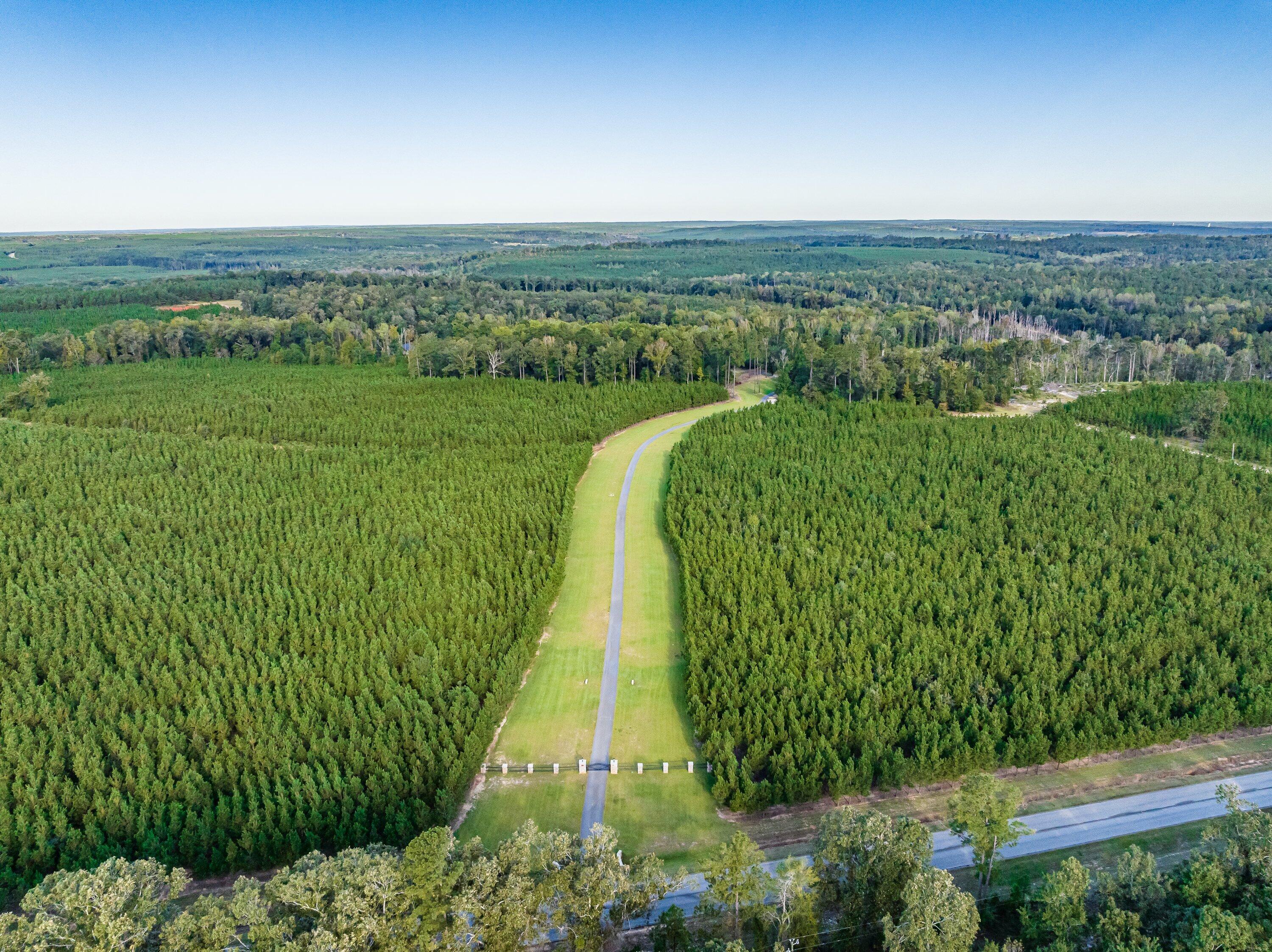 3275 Hadden Pond Road Avera, GA 30803 - Photo 53 of 69 DJI_0080-HDR