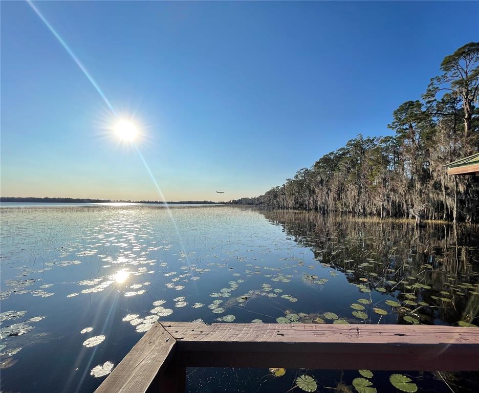 10060 Hartford Maroon Road Orlando, FL 32827 - Photo 43 of 48