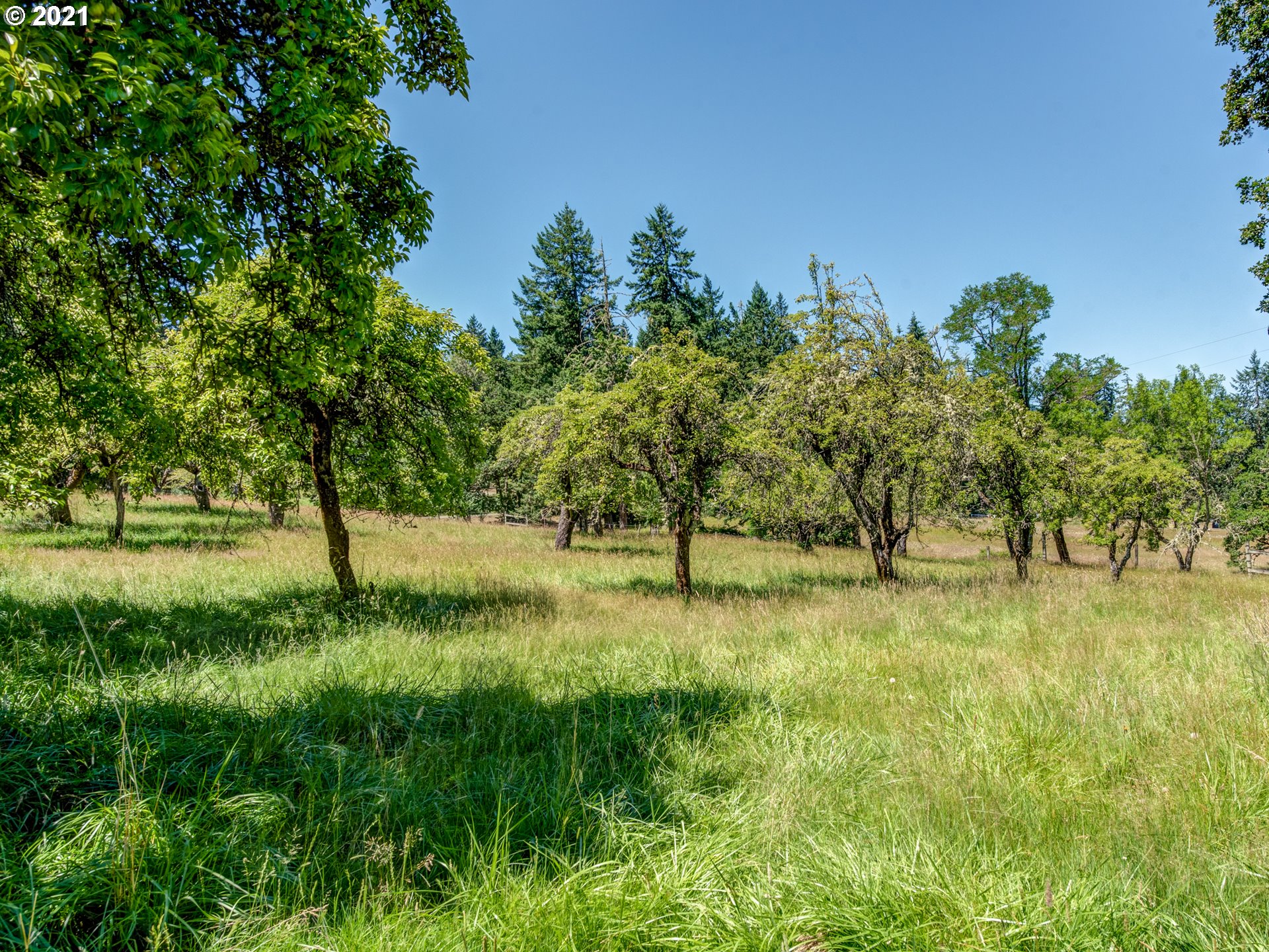85517 Pine Grove Road Eugene, OR 97405 - Photo 32 of 32 Gallery Image 32