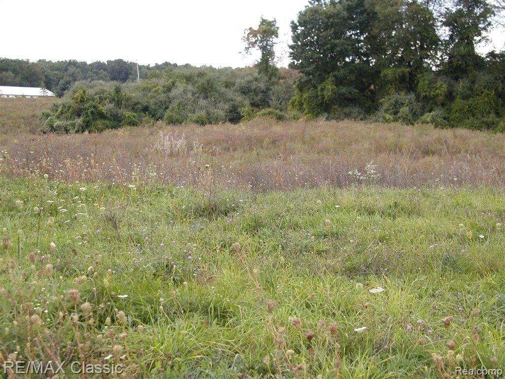 22 Morgan Lane Road Milford, MI 48381 - Photo 1 of 6 Morgan Ln (1).JPG
