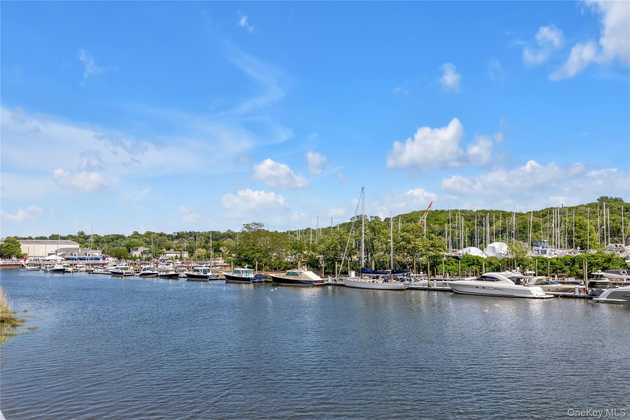 100 Garvies Point Road, Unit 1238 Glen Cove, NY 11542 - Photo 8 of 41 a view of residential houses with outdoor space and lake view