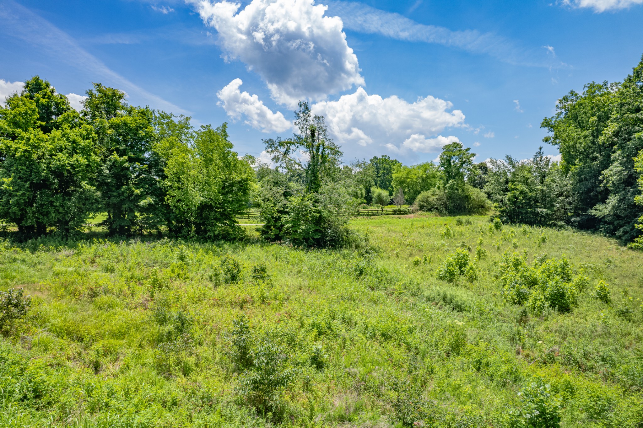 0 Mobley Ridge Road Duck River, TN 38454 - Photo 20 of 35 a view of yard with green space