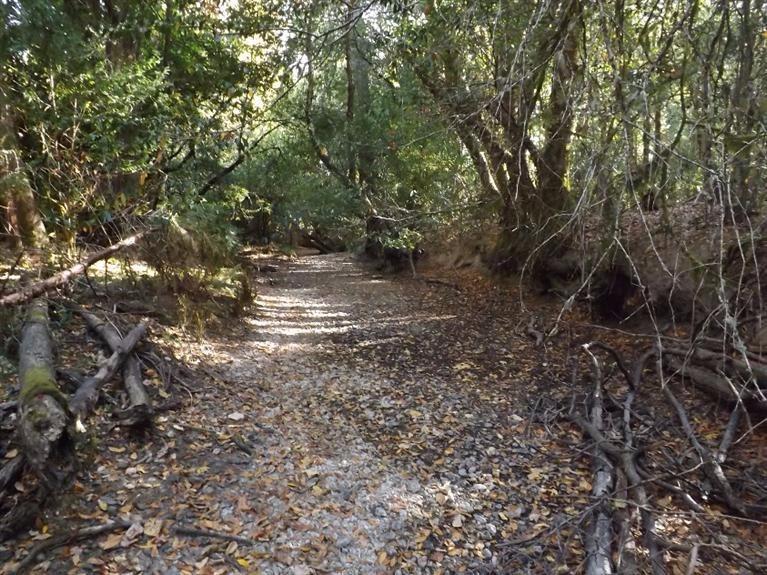 4840 Dick George Road Cave Junction, OR 97523 - Photo 14 of 18 Large seasonal creek bed