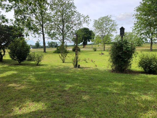 2914 Cook Road Westville, FL 32464 - Photo 6 of 19 a view of a garden with trees
