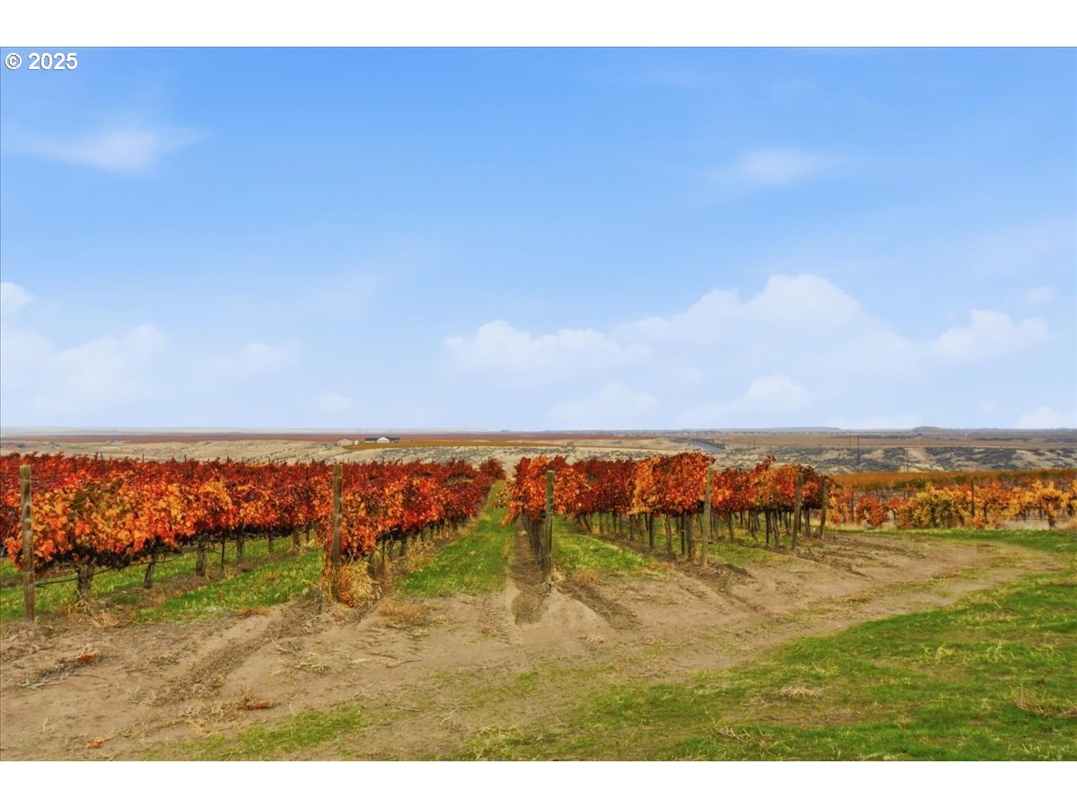499 Alderdale Road Prosser, WA 99350 - Photo 33 of 41 a view of an ocean and beach